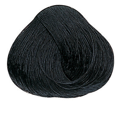 Evolution of the Color Naturfarben