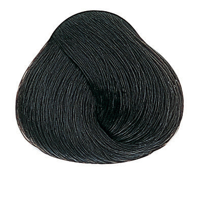 Evolution of the Color Kalte Brauntöne