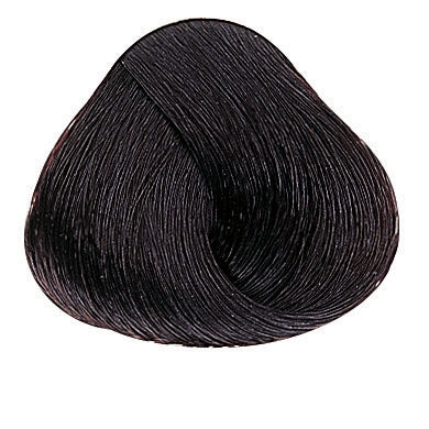 Evolution of the Color Warme Brauntöne