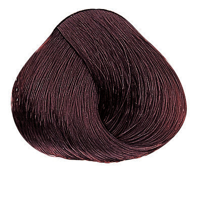 Evolution of the Color Warme Brauntöne