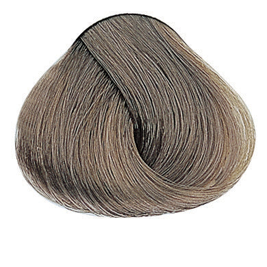 Evolution of the Color Kalte Brauntöne